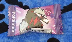 Pokemon Excadrill Candy Piece