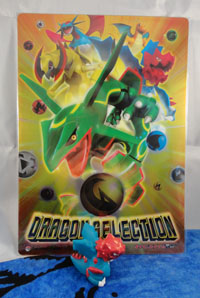 Pokemon Center Dragon Selection Items