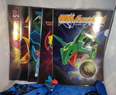 Pokemon Center Dragon Selection Items