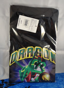 Pokemon Center Dragon Selection Items