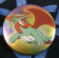 Pokemon Salamence Can Badge